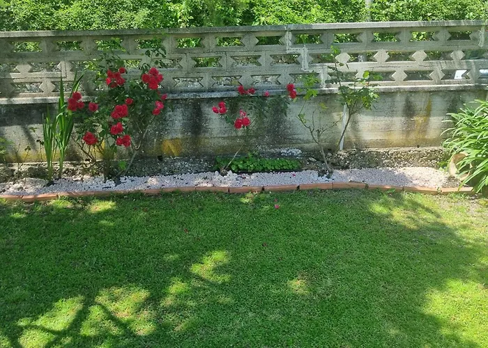 Wildflowers House - Japartments Apartmán Janov